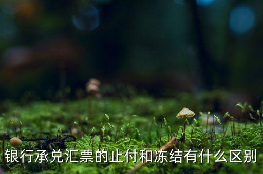 凍結(jié)止付什么意思，銀行承兌匯票的止付和凍結(jié)有什么區(qū)別
