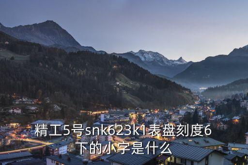 精工表中小表什么，精工手表4個(gè)小表盤是干甚么的