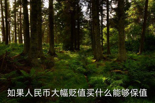 錢(qián)貶值買(mǎi)什么，人民幣貶值買(mǎi)什么好