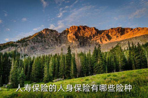 什么是傳統(tǒng)險非傳統(tǒng)險，保險市場目前有哪些保險產(chǎn)品如何進行分類每類有什么特點