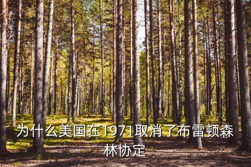 什么取代了布雷頓森林體系，布雷頓森林體系的產(chǎn)生說明了