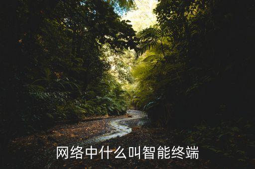 什么是智能聯(lián)播終端，名詞解釋 什么是智能終端