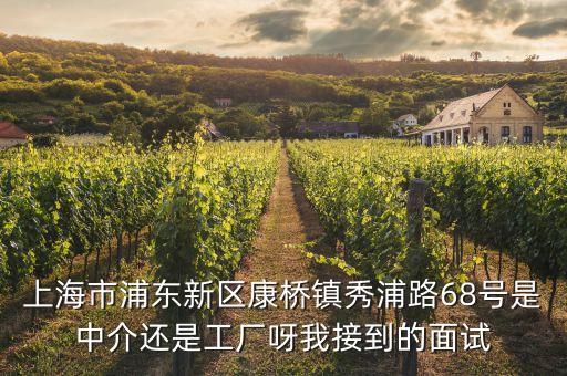 上海市浦東新區(qū)康橋鎮(zhèn)秀浦路68號(hào)是中介還是工廠(chǎng)呀我接到的面試
