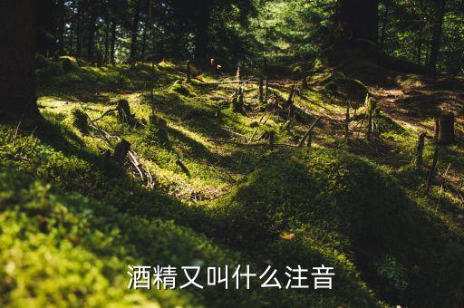 酒經(jīng)酒驚又名什么，酒精又叫什么注音
