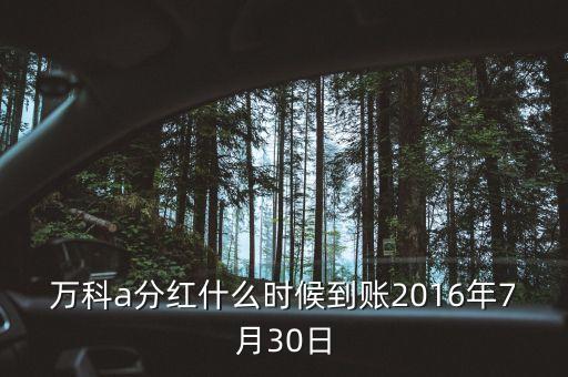 利君2016年的分紅什么時(shí)候到帳，2016年十二月以后垮行轉(zhuǎn)賬最遲多久到帳