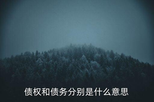 bsp票款債權(quán)是什么，銀行理財業(yè)務(wù)里面的liborbsp是什么意思