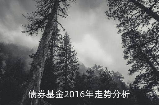 2016年的債券的投資的方向是什么，債券基金2016年走勢分析