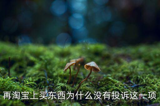 為什么消費(fèi)者網(wǎng)購(gòu)不維權(quán)，再淘寶上買東西為什么沒(méi)有投訴這一項(xiàng)