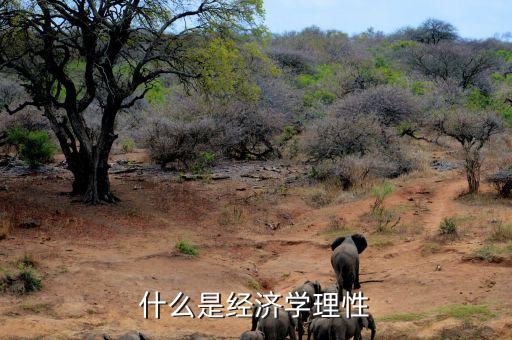 什么是市場理性，市場回歸理性是什么意思