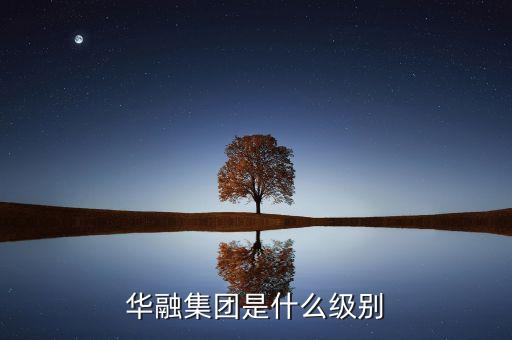 華融集團(tuán)是什么級別