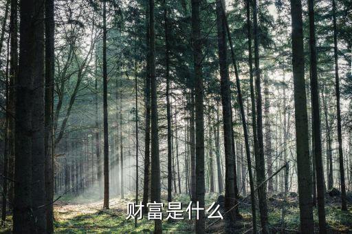 財(cái)富是什么莫奈，財(cái)富是什么