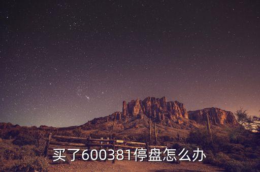 600381為什么被st，買了600381停盤怎么辦