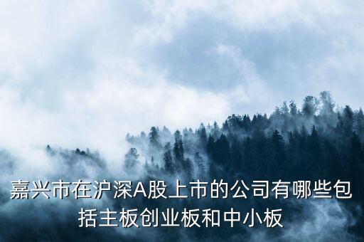 嘉興市在滬深A股上市的公司有哪些包括主板創(chuàng)業(yè)板和中小板