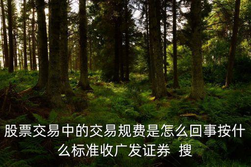 股票交易中的交易規(guī)費(fèi)是怎么回事按什么標(biāo)準(zhǔn)收廣發(fā)證券  搜