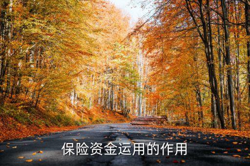 保險(xiǎn)資金運(yùn)用余額什么意思，保險(xiǎn)每年的資金運(yùn)用余額具體是什么