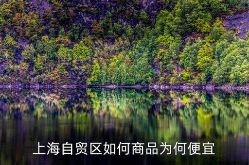 上海自貿(mào)區(qū)買什么便宜，上海購物什么商品比較便宜