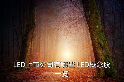 上市公司鴻什么視訊，視訊行業(yè)有哪些公司