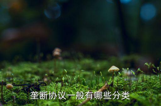 什么是縱向壟斷協(xié)議，壟斷協(xié)議一般有哪些分類