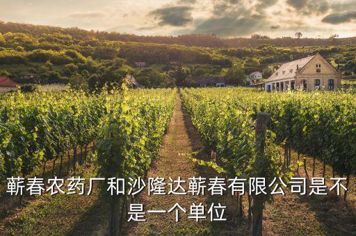 蘄春汪潮涌投資了什么，蘄春農(nóng)藥廠和沙隆達(dá)蘄春有限公司是不是一個單位
