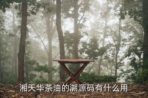 什么是溯源碼，想問一下溯源碼是什么