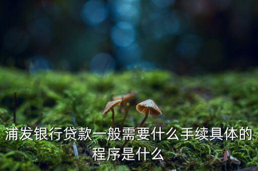 浦發(fā)銀行網(wǎng)貸通要什么條件，TB支持浦發(fā)  浦發(fā)開通網(wǎng)銀要什么條件比如要帶點什么的