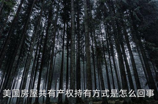 什么是共有產(chǎn)權(quán)產(chǎn)權(quán)模式，美國房屋共有產(chǎn)權(quán)持有方式是怎么回事