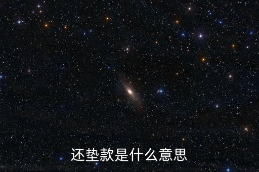 還墊款是什么意思