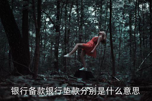 墊款是什么意思，還墊款是什么意思
