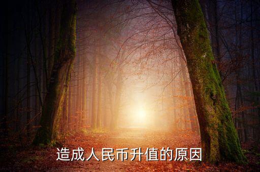 為什么貨幣升值，為什貨幣會升值