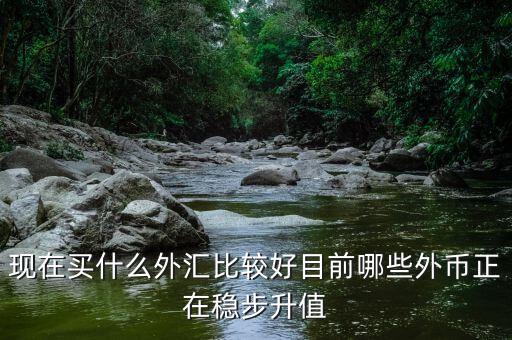 近期買什么外匯，預(yù)測人民幣匯率走勢是怎樣的 炒外匯現(xiàn)在買哪對外匯比較好