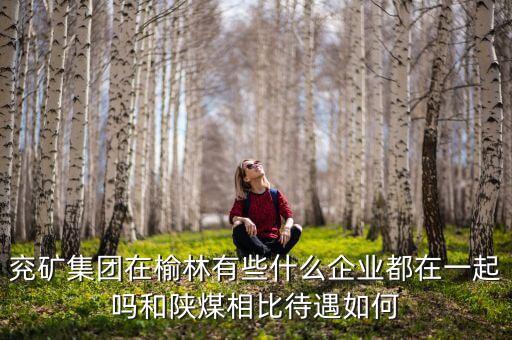 兗州煤業(yè)公司經(jīng)營(yíng)什么，兗礦集團(tuán)在榆林有些什么企業(yè)都在一起嗎和陜煤相比待遇如何