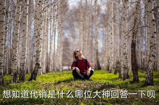 想知道代銷(xiāo)是什么哪位大神回答一下唄