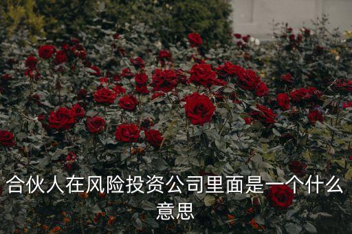 vc合伙人是什么，風(fēng)險投資公司中的合伙人和經(jīng)理人都是什么意思