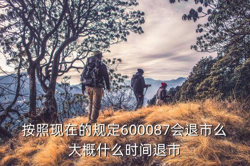 600087什么時候到3版，按照現(xiàn)在的規(guī)定600087會退市么大概什么時間退市