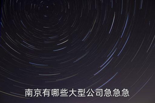 蘇寧什么時(shí)候收購(gòu)舜天，南京有哪些大型公司急急急