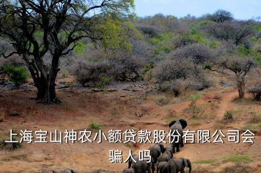 上海神農(nóng)小額貸款公司經(jīng)理叫什么，上海寶山神農(nóng)小額貸款股份有限公司會騙人嗎