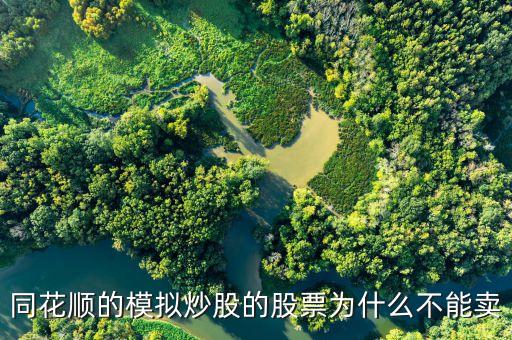 財達同花順股票為什么不能買賣，同花順的模擬炒股的股票為什么不能賣
