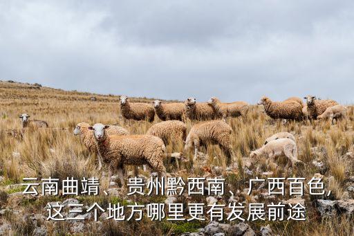 云南曲靖、 貴州黔西南、廣西百色,這三個(gè)地方哪里更有發(fā)展前途