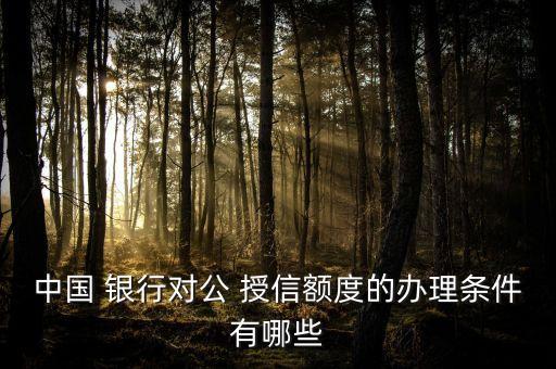 中國(guó) 銀行對(duì)公 授信額度的辦理?xiàng)l件有哪些