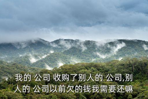 我的 公司 收購(gòu)了別人的 公司,別人的 公司以前欠的錢我需要還嘛