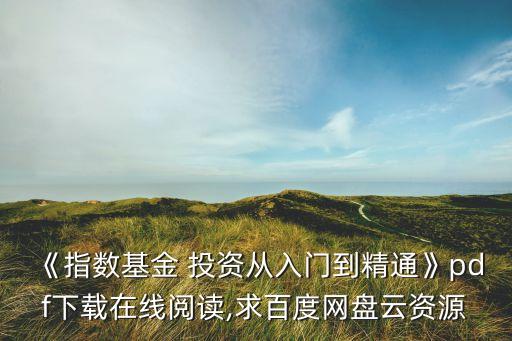 《指數(shù)基金 投資從入門到精通》pdf下載在線閱讀,求百度網(wǎng)盤云資源