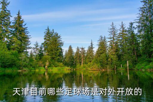  天津目前哪些足球場(chǎng)是對(duì)外開(kāi)放的