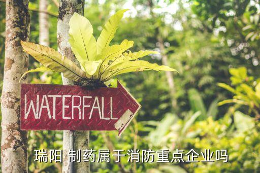  瑞陽 制藥屬于消防重點(diǎn)企業(yè)嗎
