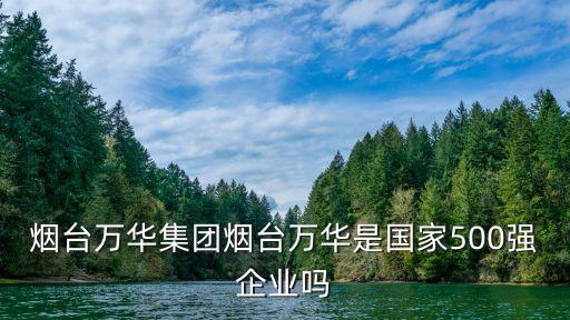 煙臺(tái)萬華集團(tuán)煙臺(tái)萬華是國家500強(qiáng)企業(yè)嗎
