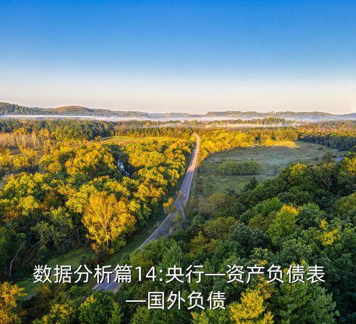  數據分析篇14:央行—資產負債表—國外負債