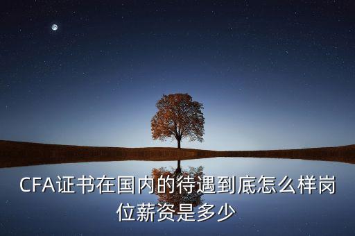 CFA證書(shū)在國(guó)內(nèi)的待遇到底怎么樣崗位薪資是多少