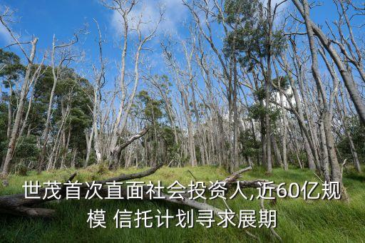 世茂首次直面社會投資人,近60億規(guī)模 信托計(jì)劃尋求展期