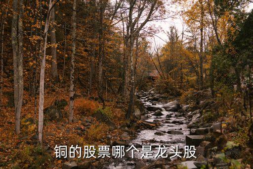 中國在lme注冊(cè)的有色金屬品牌