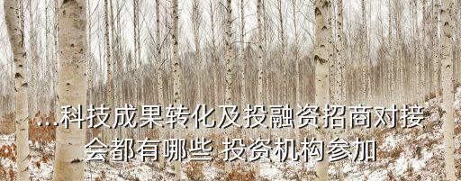 ...科技成果轉(zhuǎn)化及投融資招商對接會都有哪些 投資機構參加