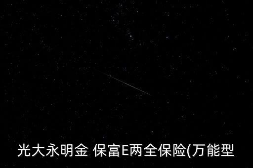 光大永明金 保富E兩全保險(xiǎn)(萬(wàn)能型